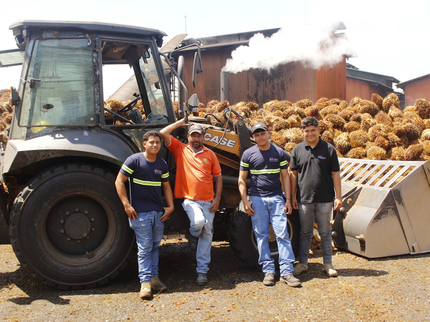 Colaboradores en el área de recepción de fruta
